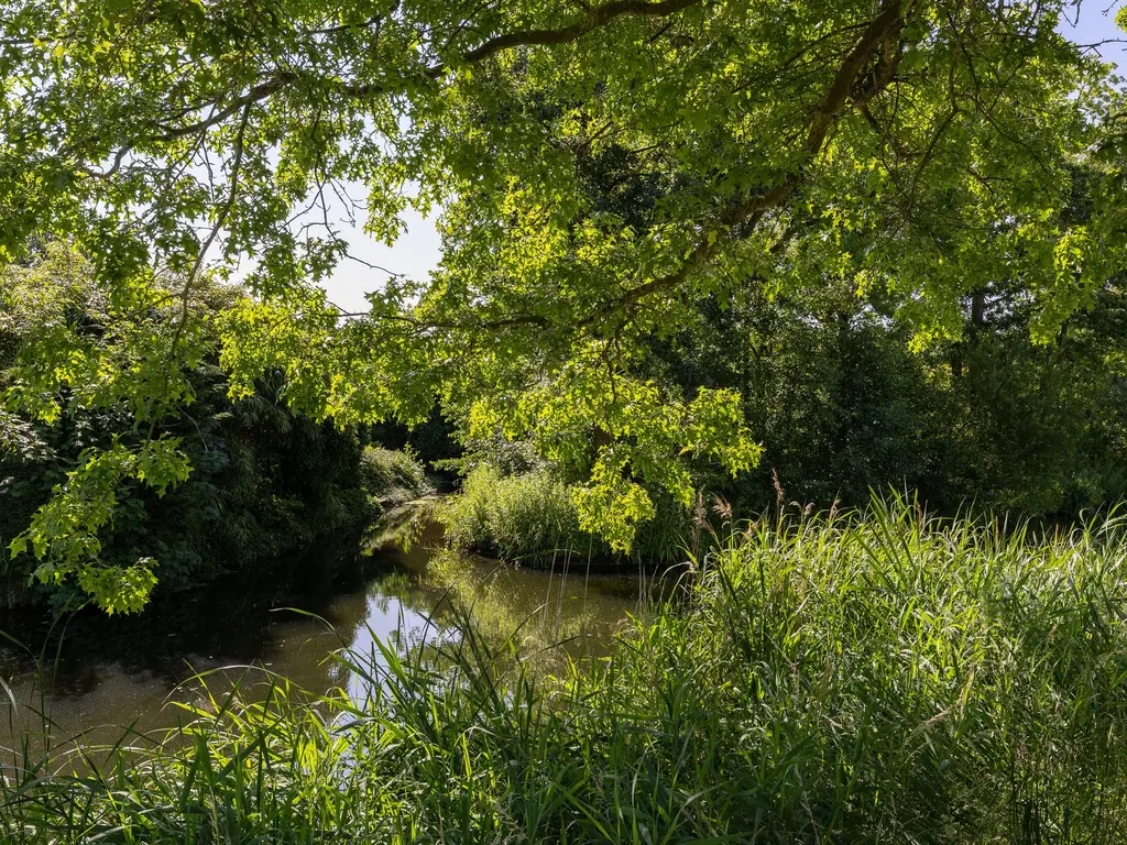 Binnenplaats 44, BLOKKER