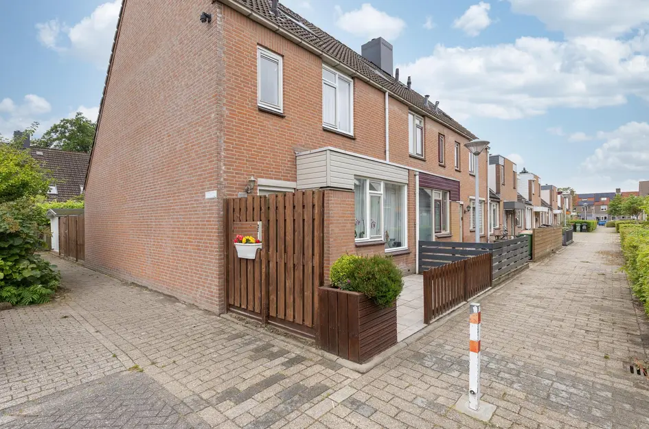 Paardebloem 73