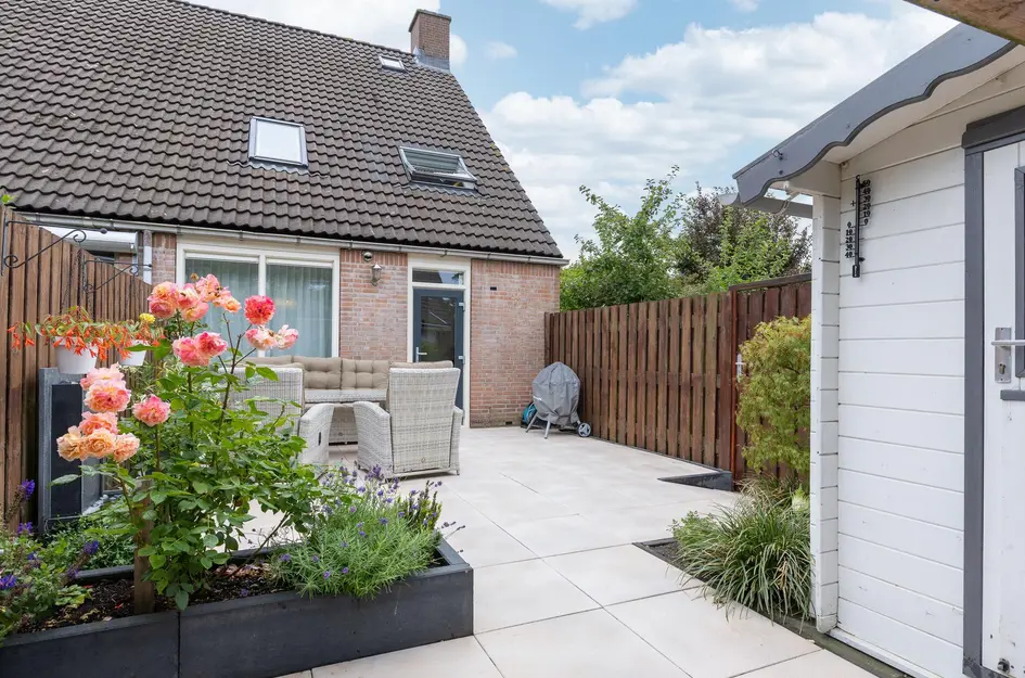 Paardebloem 73