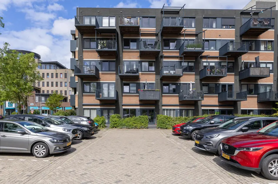 Zandsteen 97