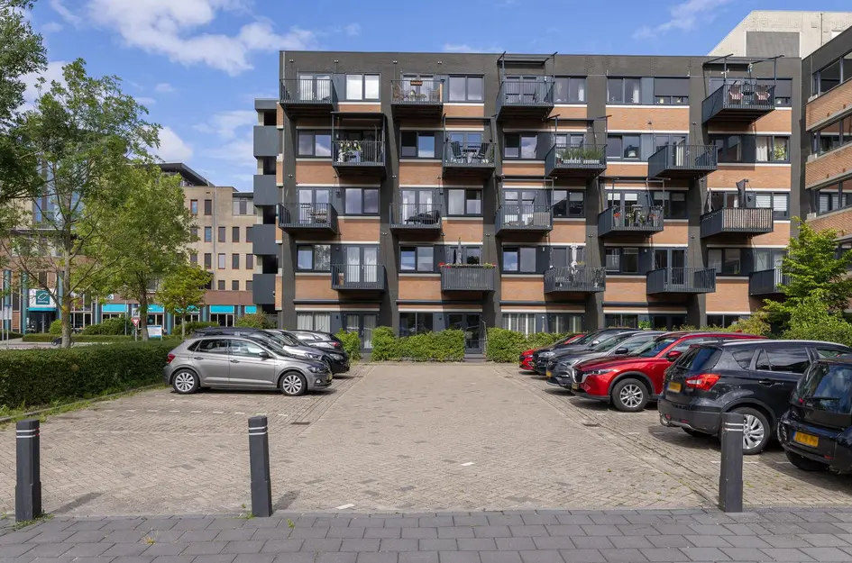 Zandsteen 97