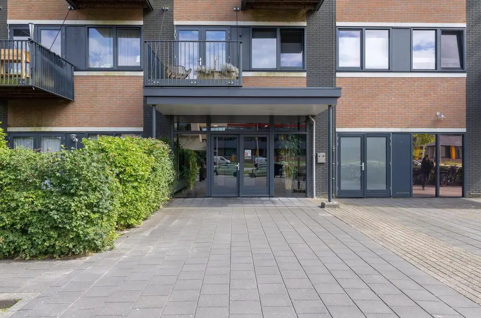 Zandsteen 97