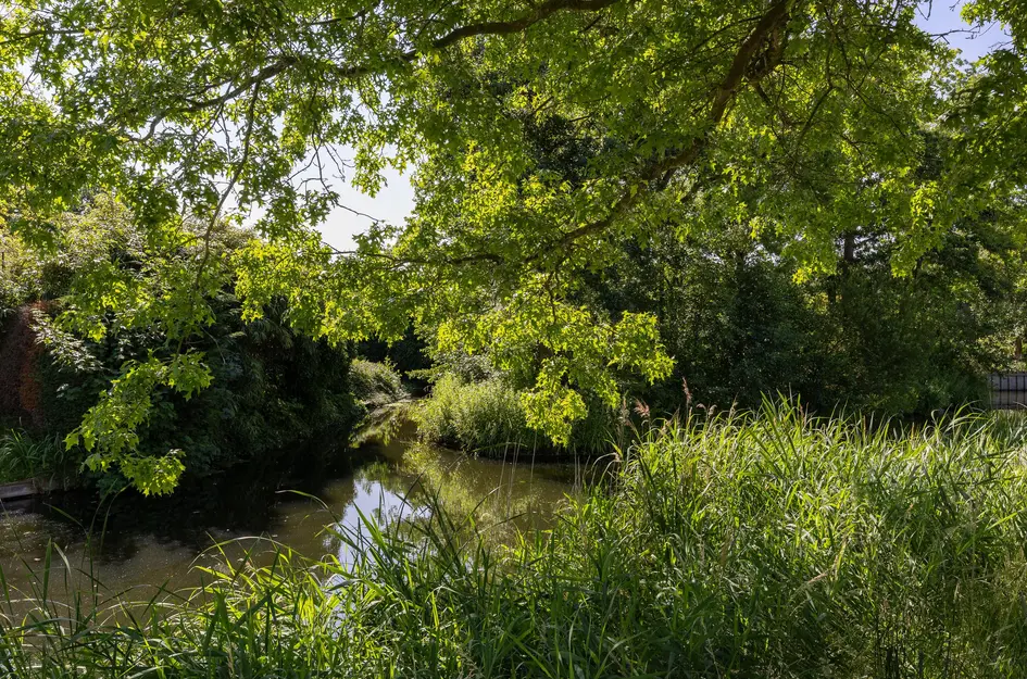 Binnenplaats 44