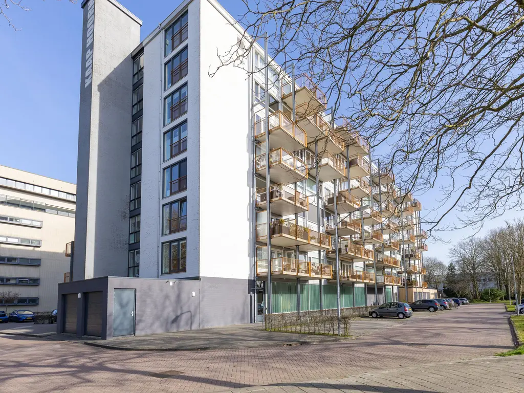 Kaap Hoorn 18, HOORN