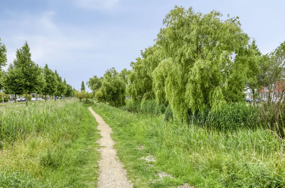 Paaldijk 83
