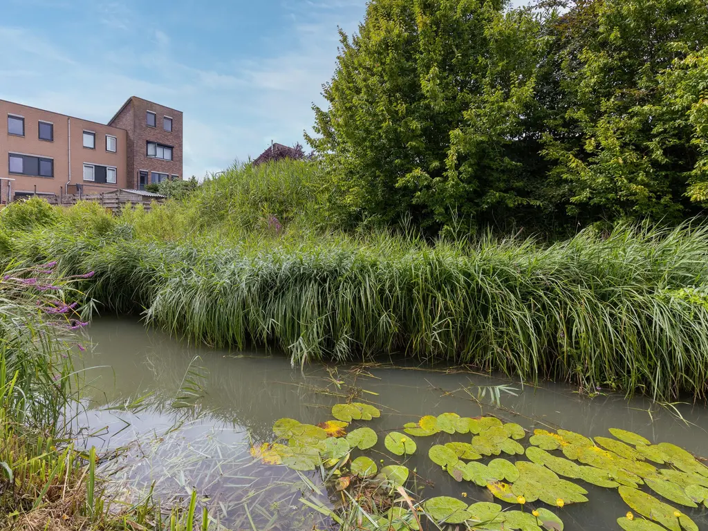 Charlotte van Pallandthof 96, HOORN