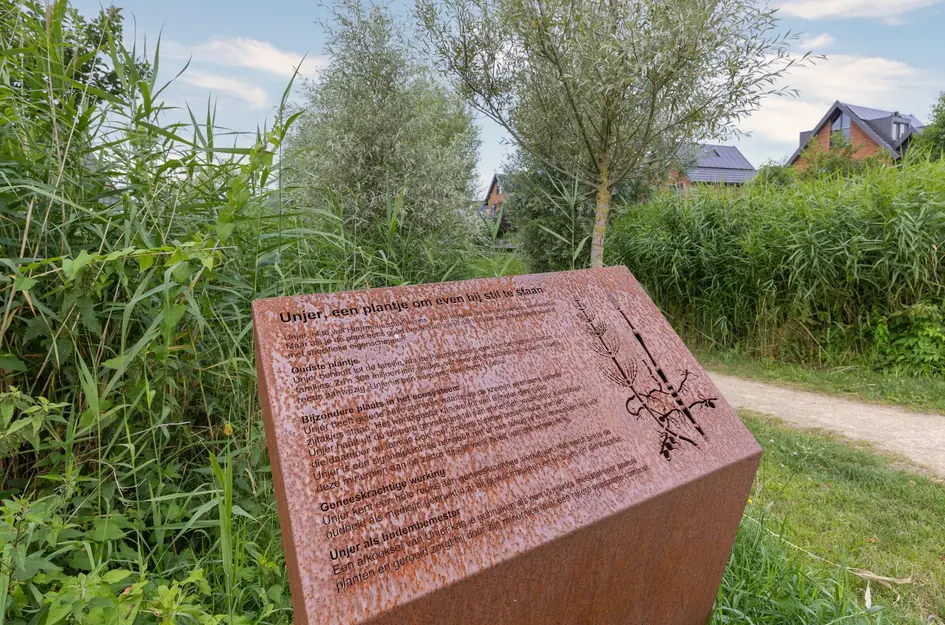 Lage Hoek 119