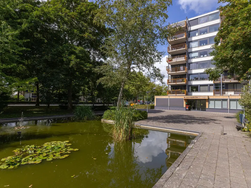 Kaap Hoorn 21, HOORN