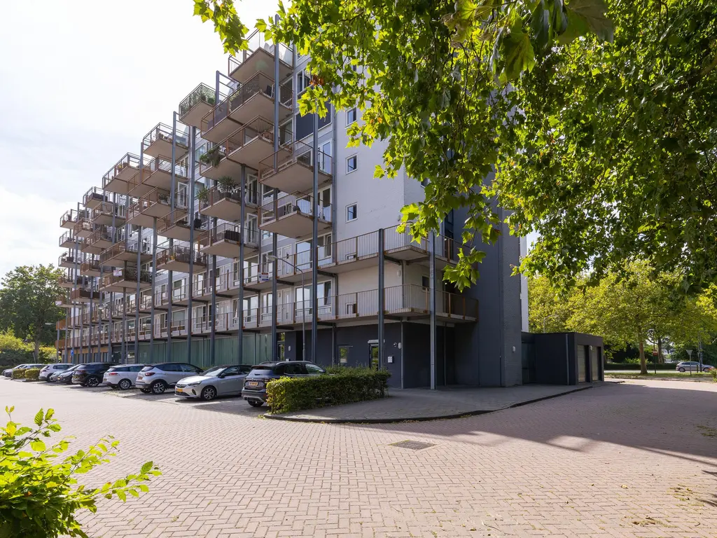 Kaap Hoorn 21, HOORN