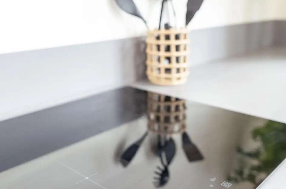 IJsvogel 1