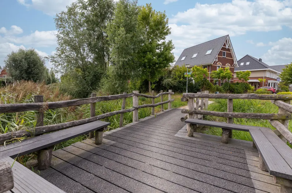 IJsvogel 1