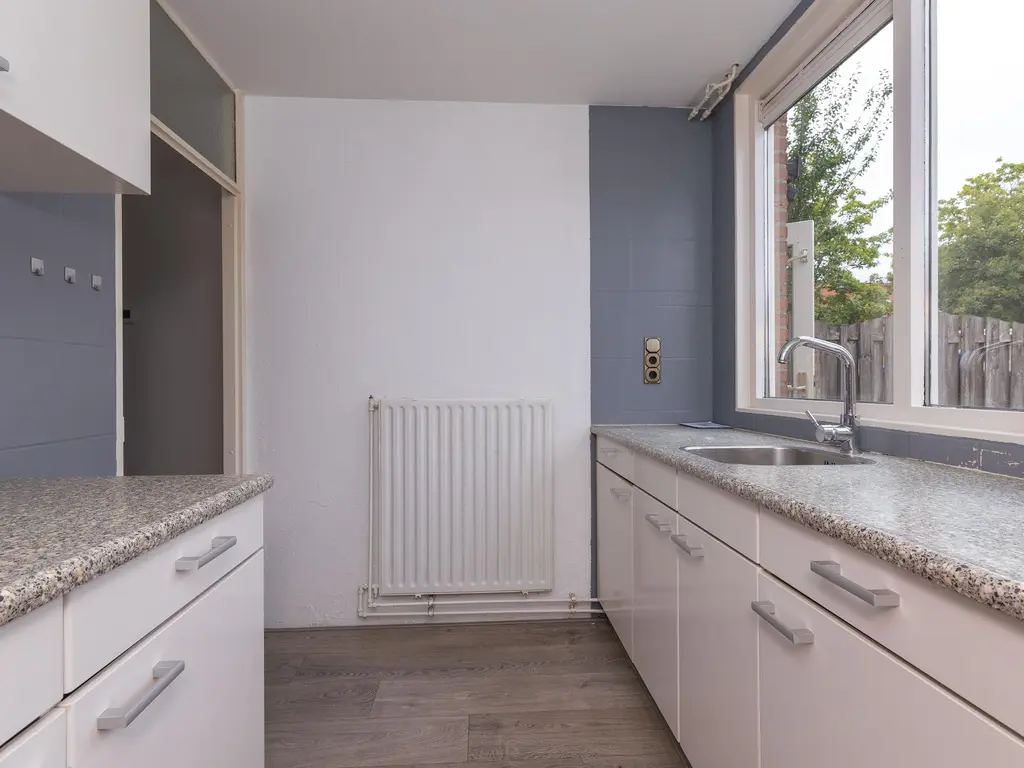 Koolmees 37, HOORN