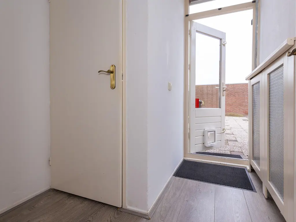 Koolmees 37, HOORN