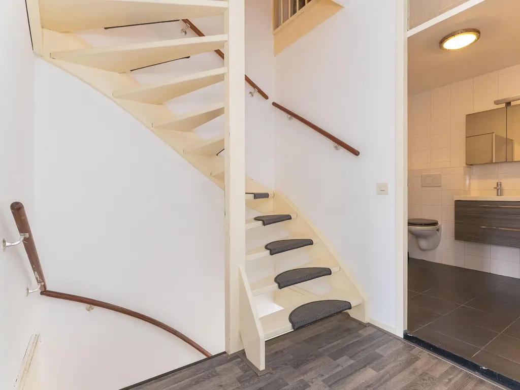 Koolmees 37, HOORN