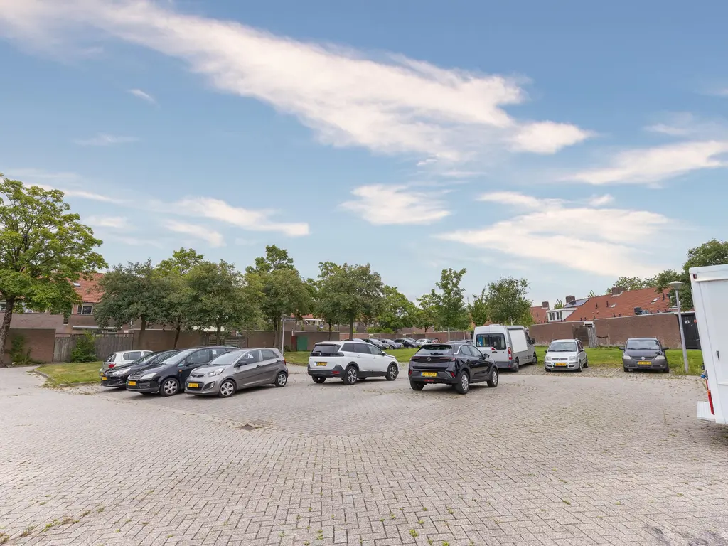 Koolmees 37, HOORN