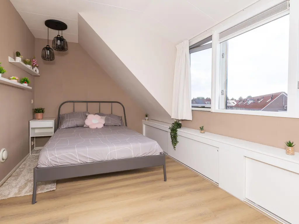 Ceder 90, HOORN