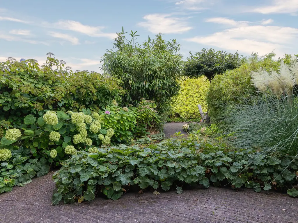 Han Hoekstrahof 81, HOORN