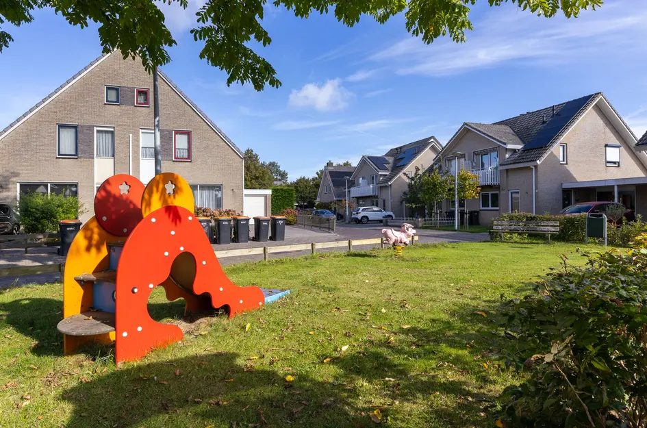 Dorsvlegel 36