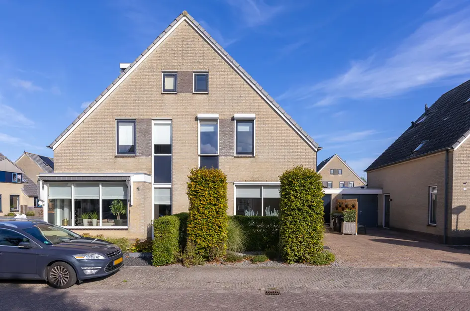 Dorsvlegel 36