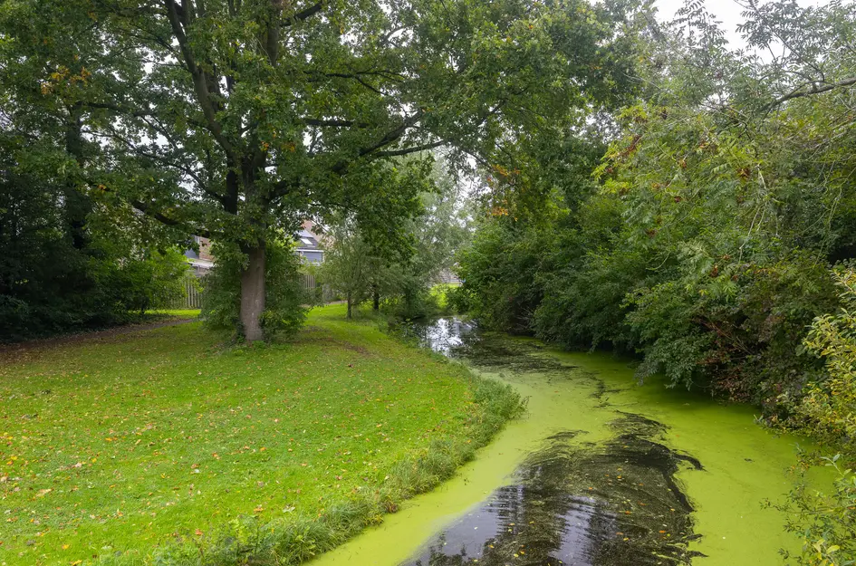 Kosterkring 18