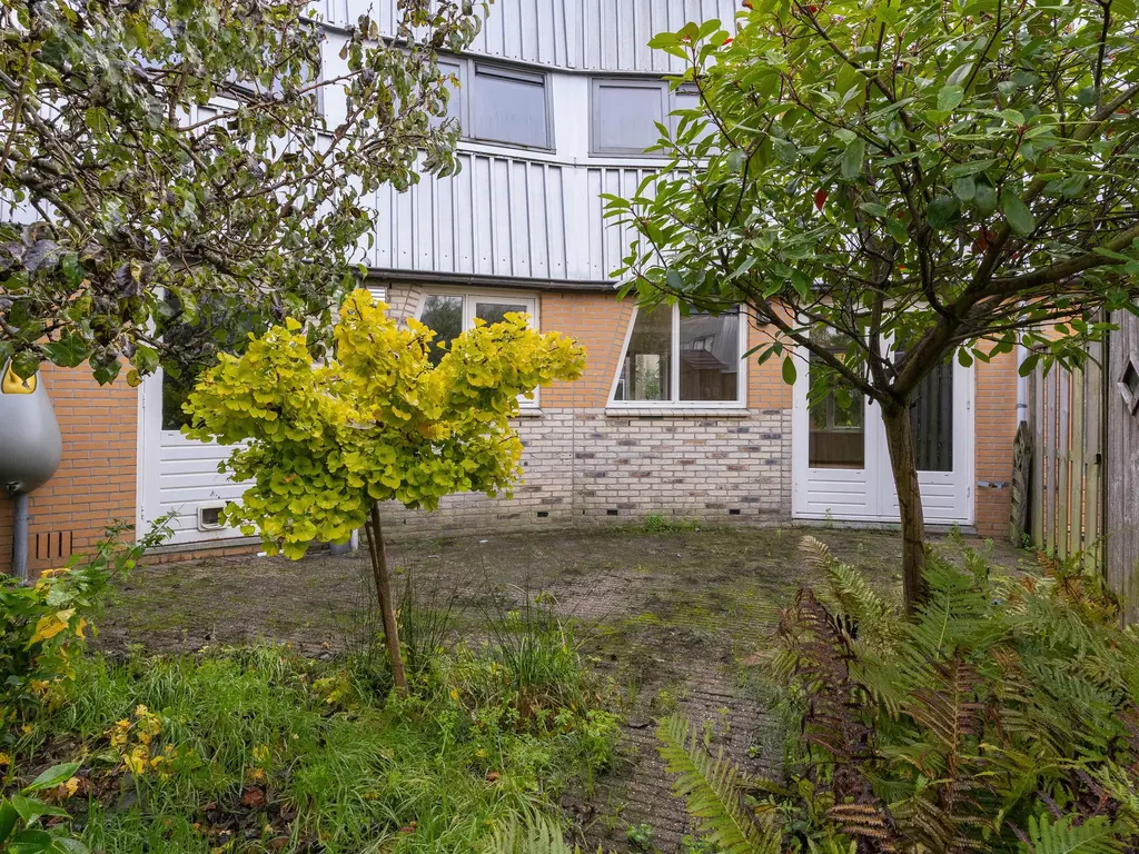Cees Buddingh'hof 152, HOORN
