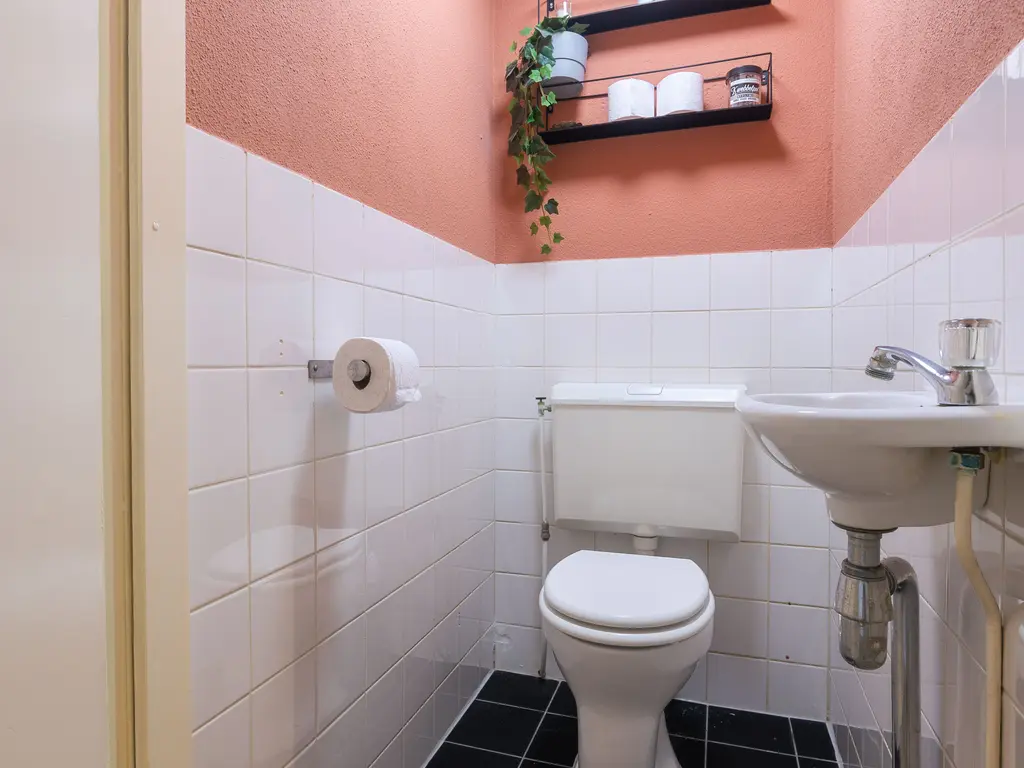 De Wieken 100, HOORN