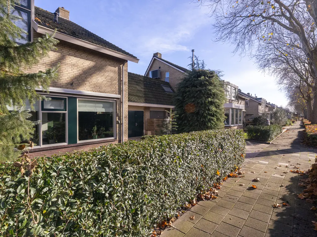 Plantage 55, BLOKKER