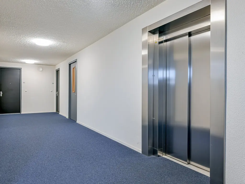 Lapis Lazuli 160, HEERHUGOWAARD