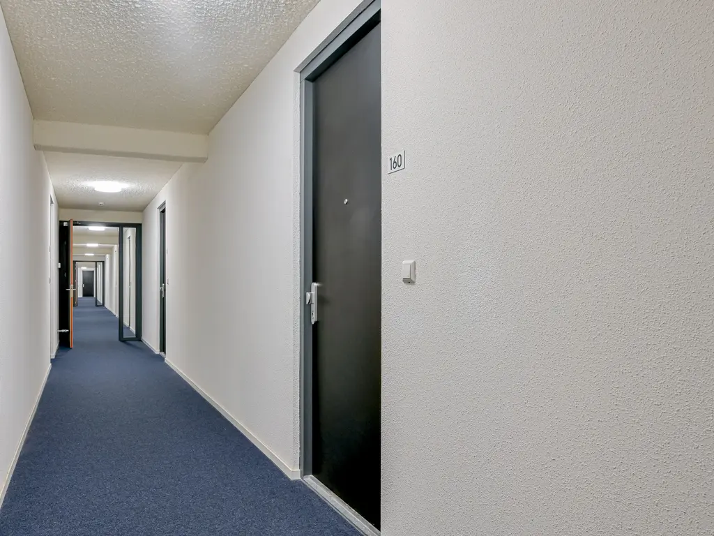 Lapis Lazuli 160, HEERHUGOWAARD