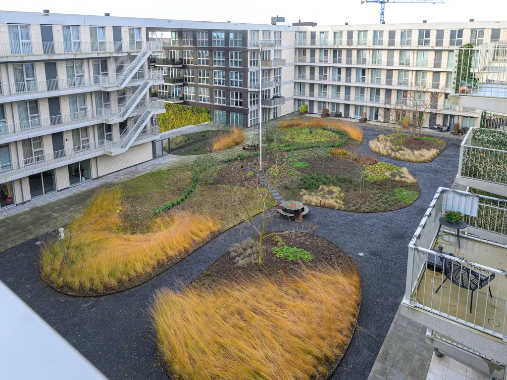 Lapis Lazuli 160, HEERHUGOWAARD