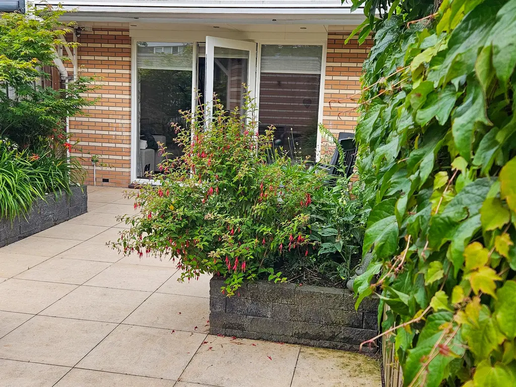 Robert Stolzhof 187, HOORN