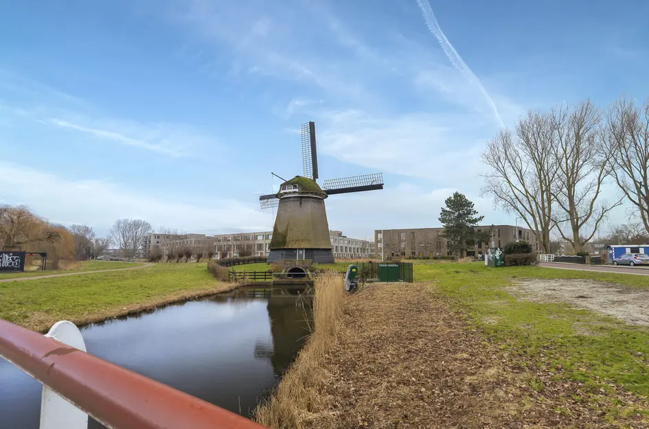 Judith Leysterstraat 53