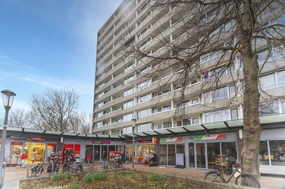 Judith Leysterstraat 53