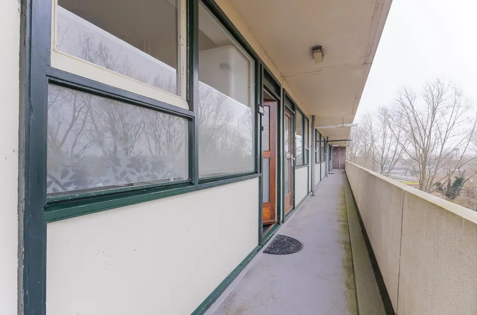 Judith Leysterstraat 53