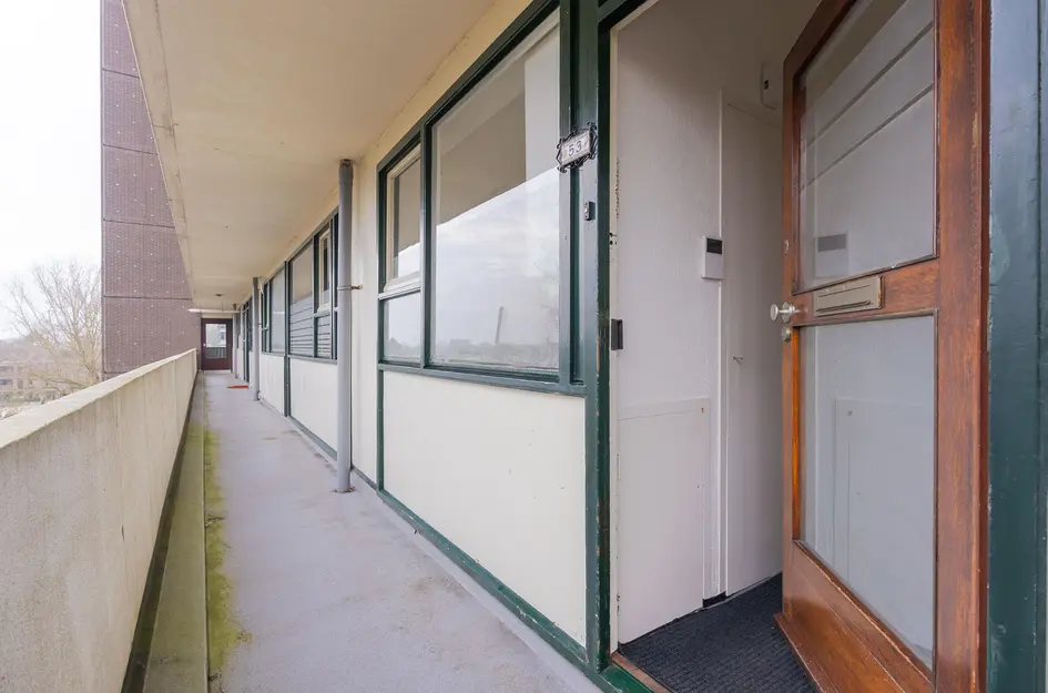 Judith Leysterstraat 53