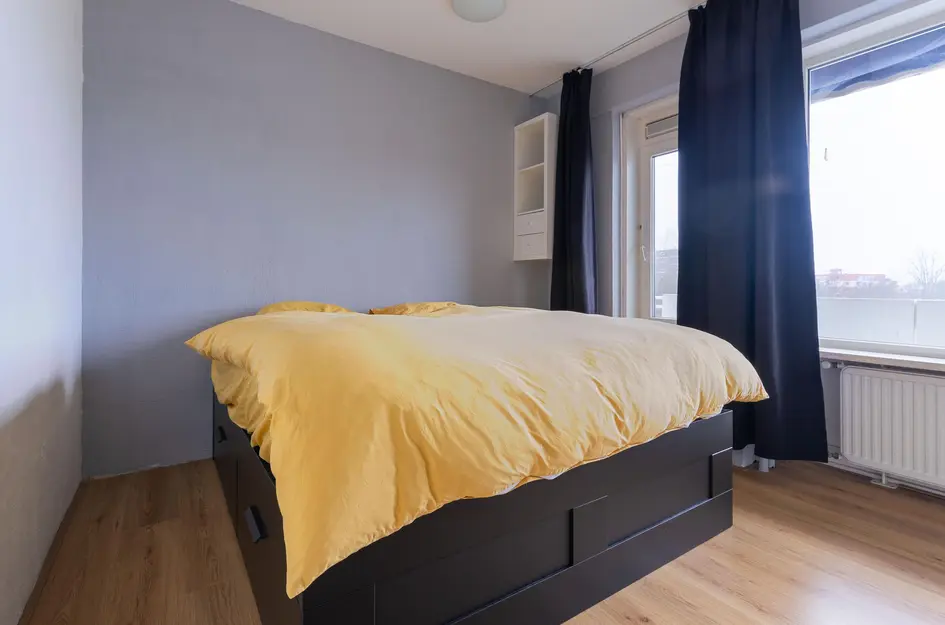 Judith Leysterstraat 53