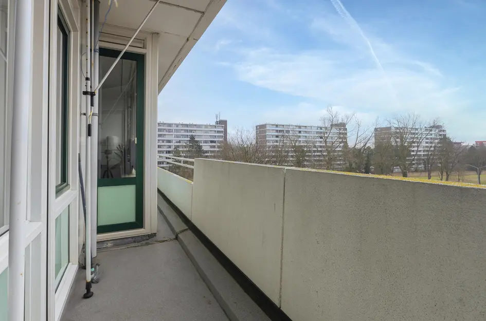 Judith Leysterstraat 53