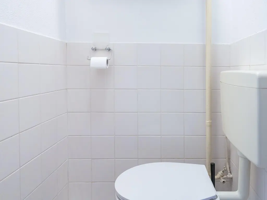 Judith Leysterstraat 53, ALKMAAR