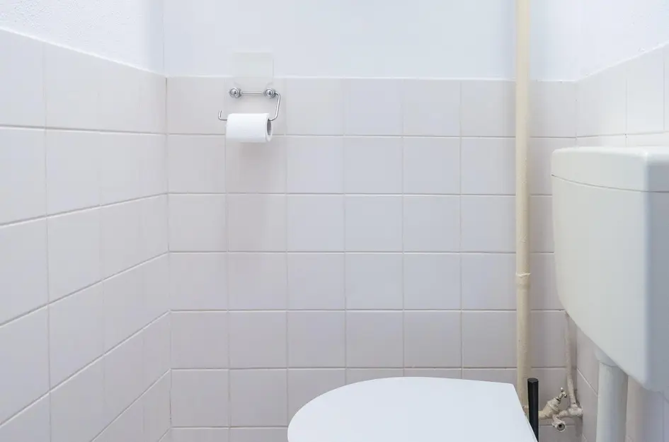 Judith Leysterstraat 53