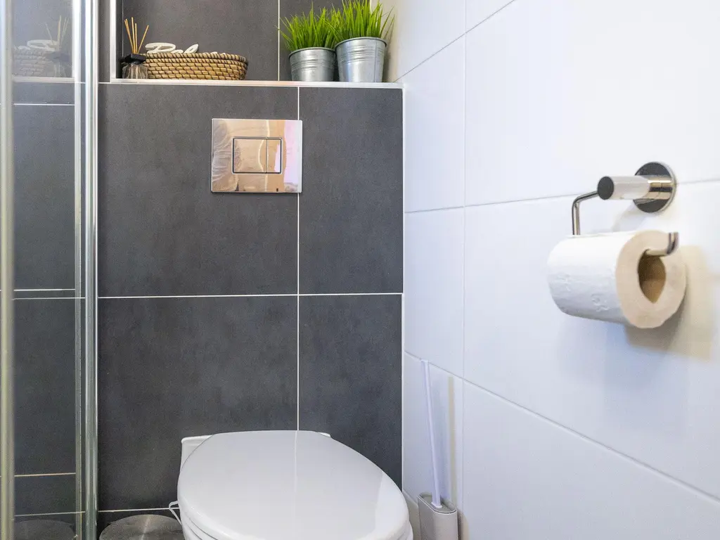 Winterkoninkje 61, HOORN