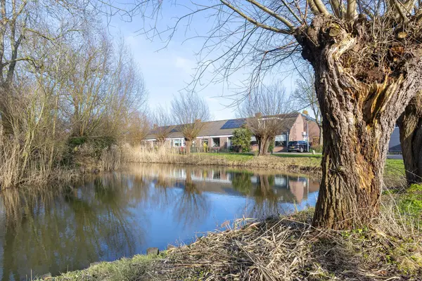 Pieter Wariuslaan 68