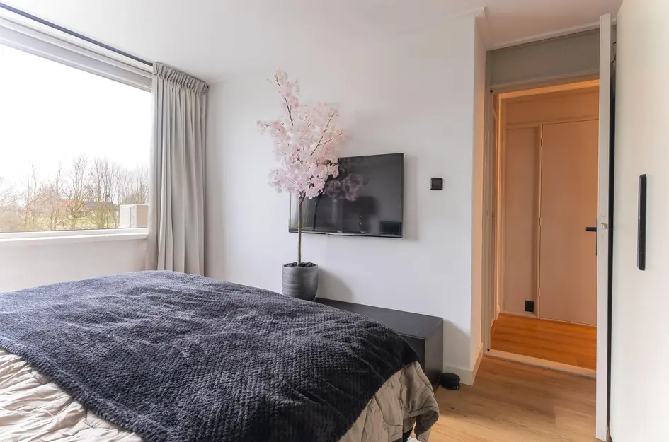 Burgemeester Elmersstraat 36