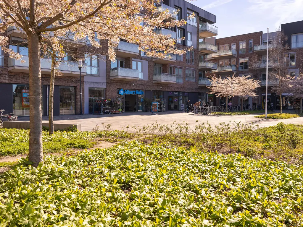 Albert van Damstraat 16, ZWAAG