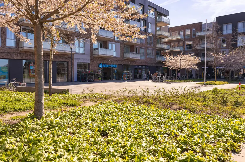 Albert van Damstraat 16