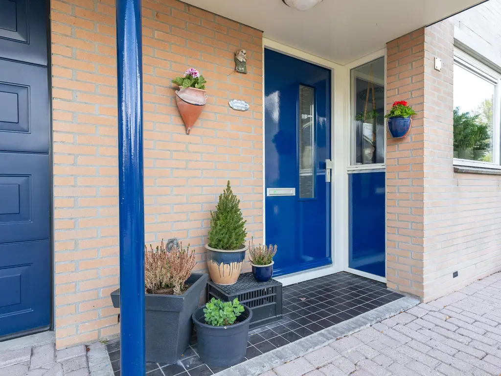 Iepenstraat 15, Winkel