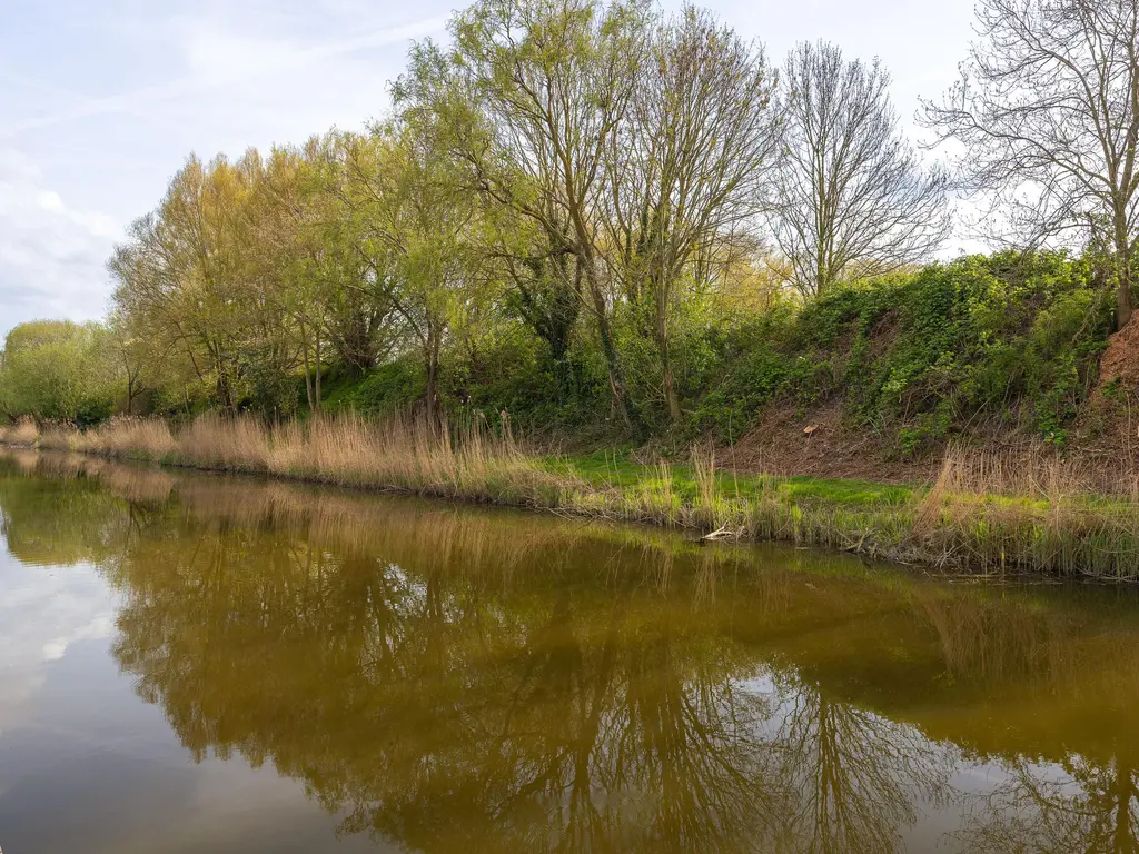 Iepenstraat 15, Winkel