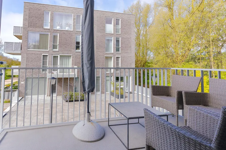IJsvogel 123