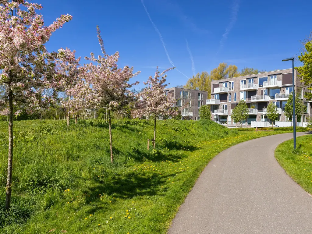 IJsvogel 123, Blokker