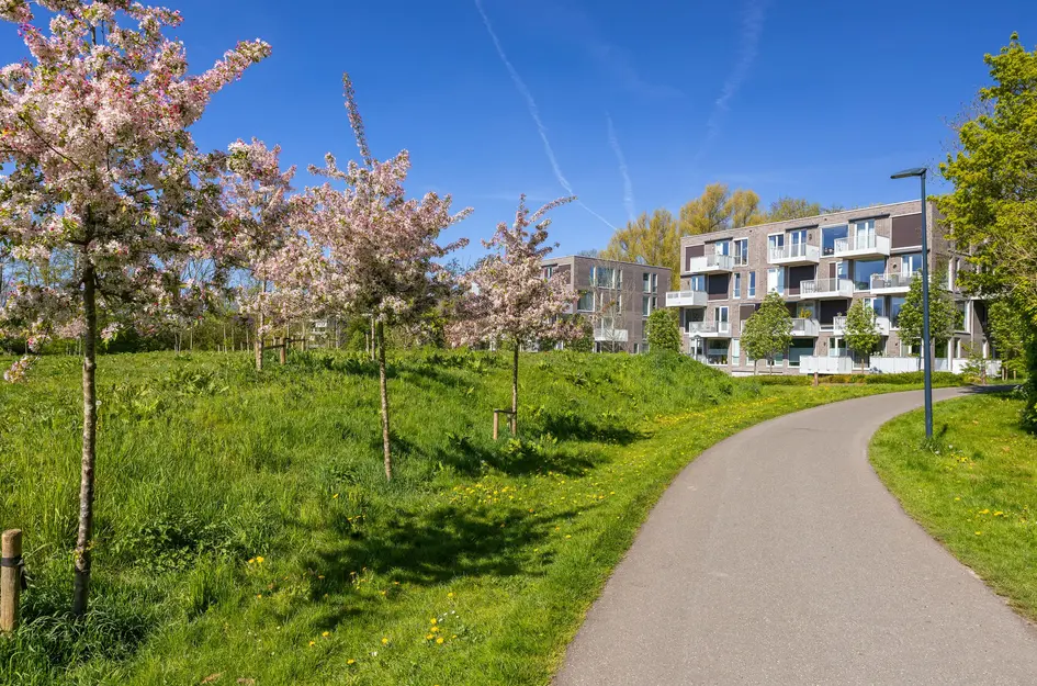 IJsvogel 123