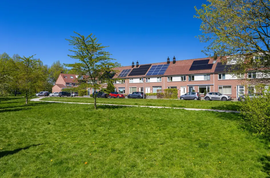Nachtegaal 100